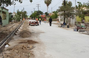 Calle Crisantemo cimbrado para guarniciones nuevas