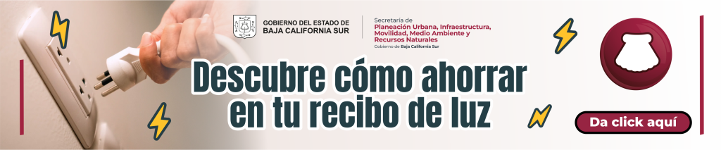 https://www.conuee.gob.mx/transparencia/nuevaestrategia/docs/CONSEJOS_EE_HOGAR_2025.pdf